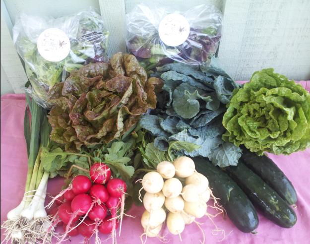 2014-05-28 small file