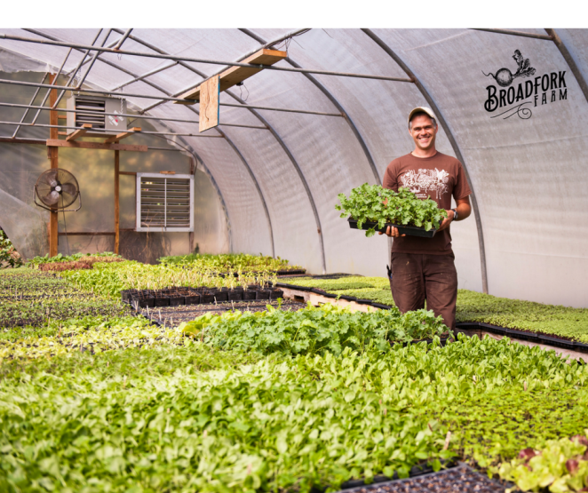 web-dan-plant-sale-greenhouse