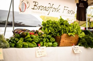 market booth 2012-10-27