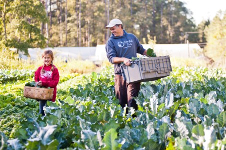 dan sylvie broccoli harvest.jpg