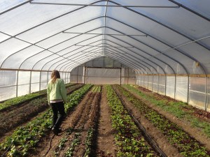 Janet VABF Broadfork 2014.01.04