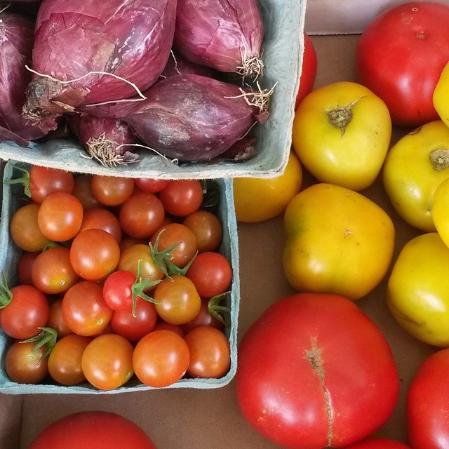 salsa tomato onion farm stand