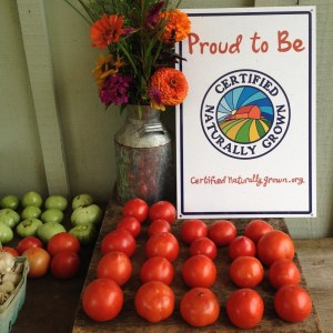 farm stand 2014-08-13