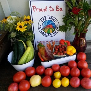 farm stand late july
