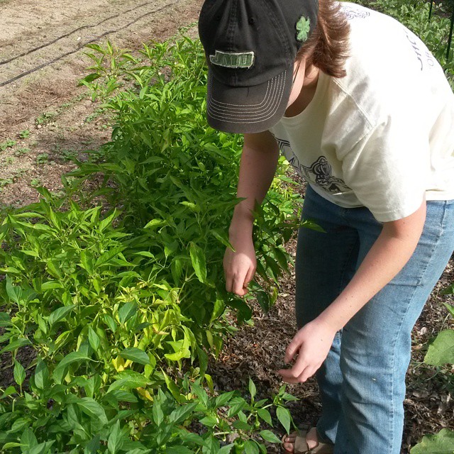 kathleen picking padron