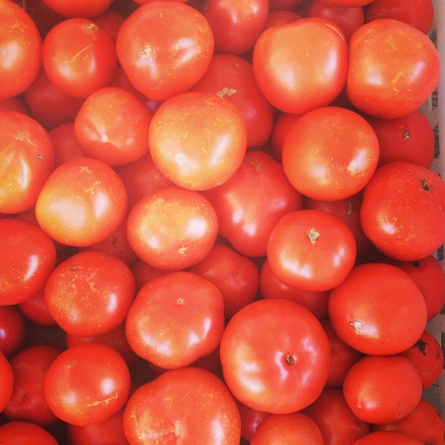 tomatoes october