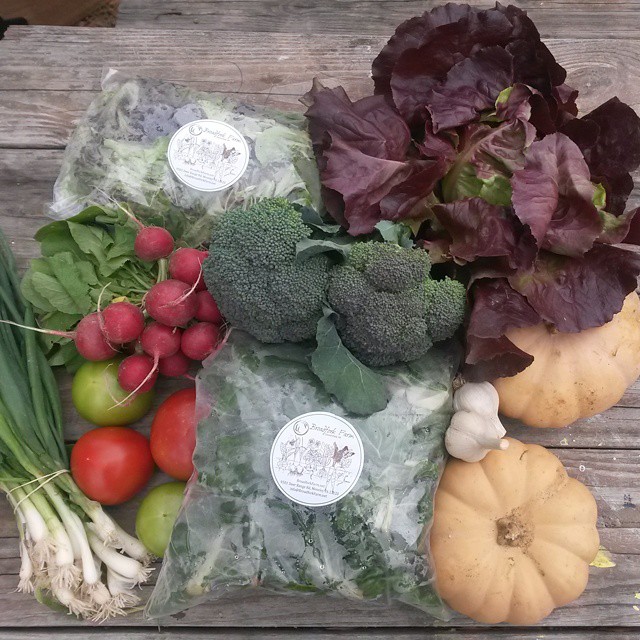 2014-11-12 csa farm share