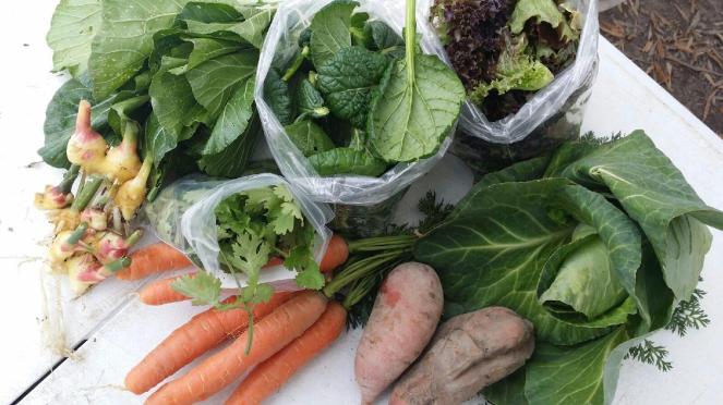 farm share 2014-11-05