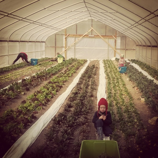 IMG_20150325_115401[1]