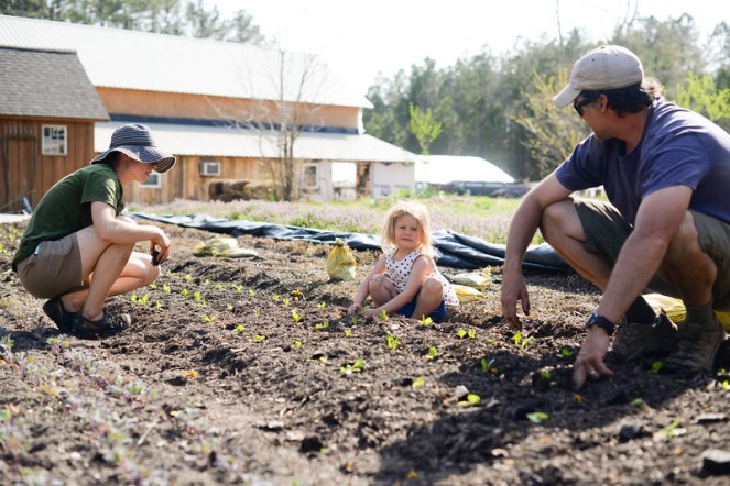 planting rachel dan elletta