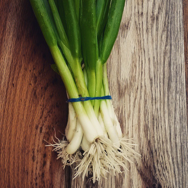 scallions
