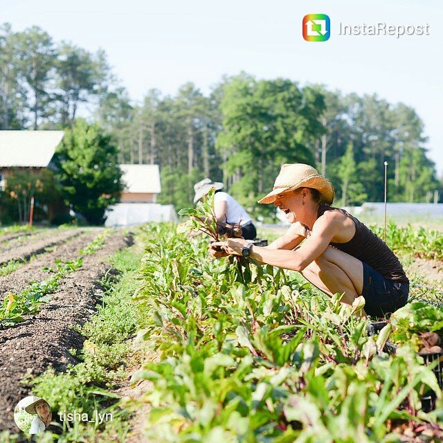 instagram janet beets