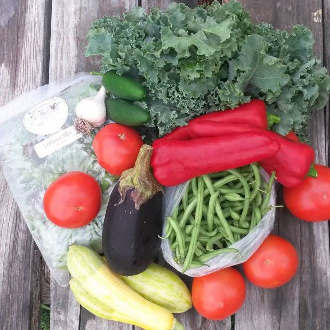 farm share 2015-08-05