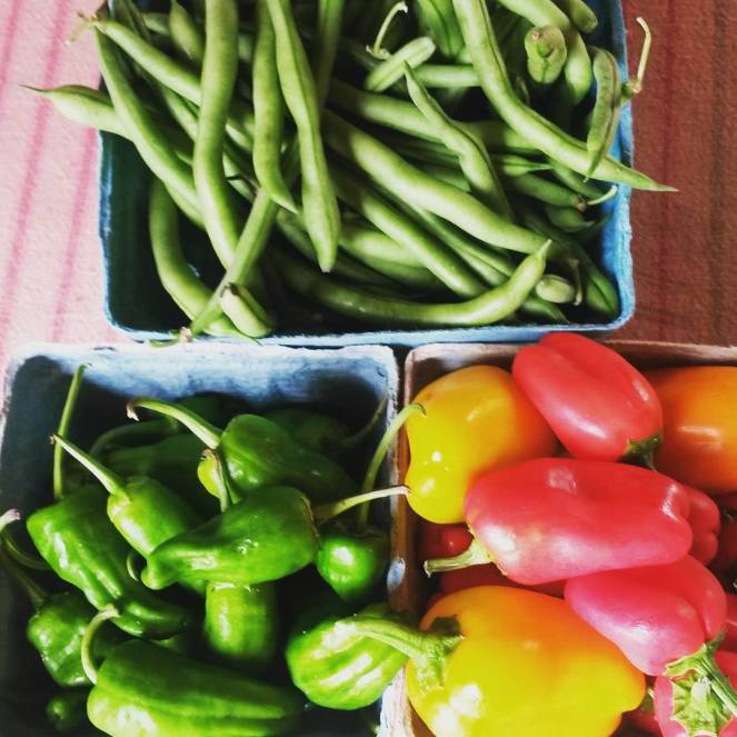 padron green beans lunchbox