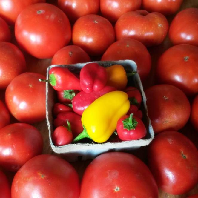 tomatoes lunchbox peppers