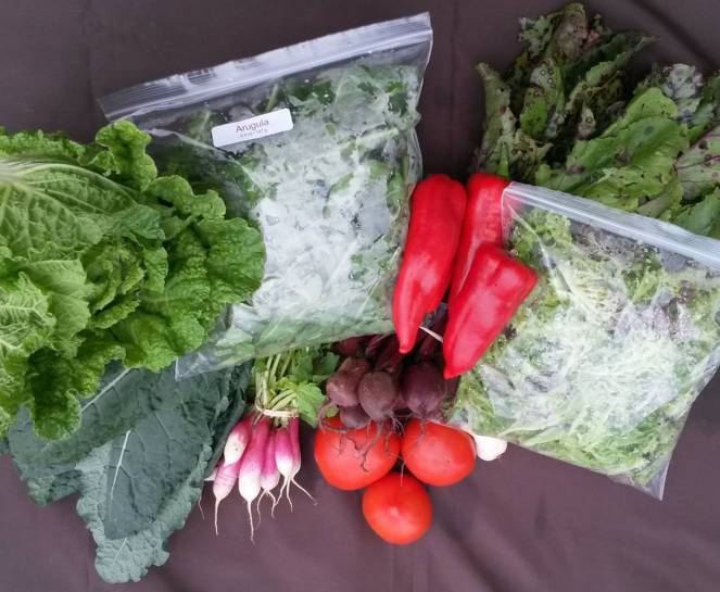 farm share 2015-09-30