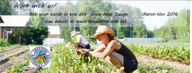 2016-01 Work with us facebook header