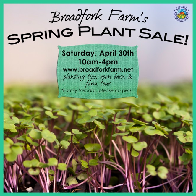 2016 Plant_Sale_2
