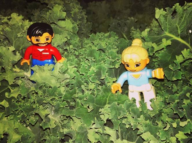 kale legos Luke Witt