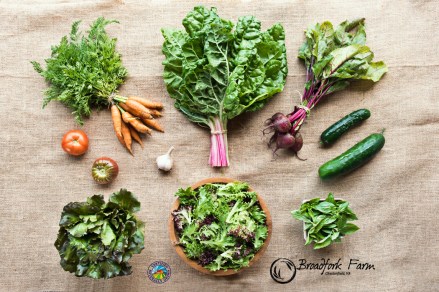 Broadfork Farm Week 8 CSA share