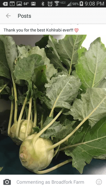 kohlrabi