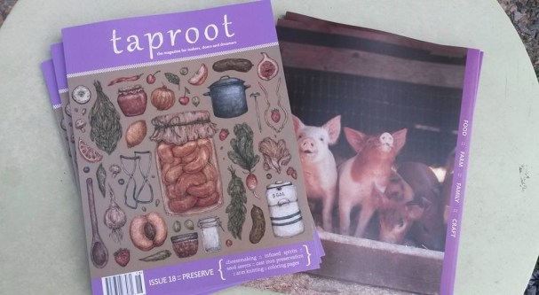 taproot