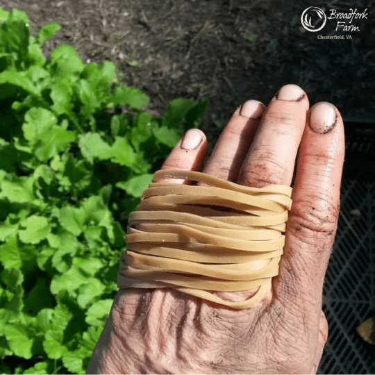web-rubber-band-hand