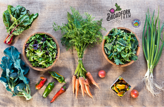 web-farm-share-2016-11-11