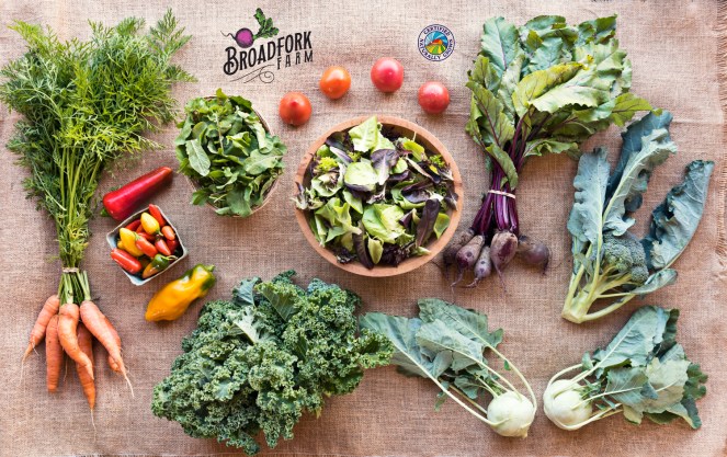Vegetables – Broadfork Farm