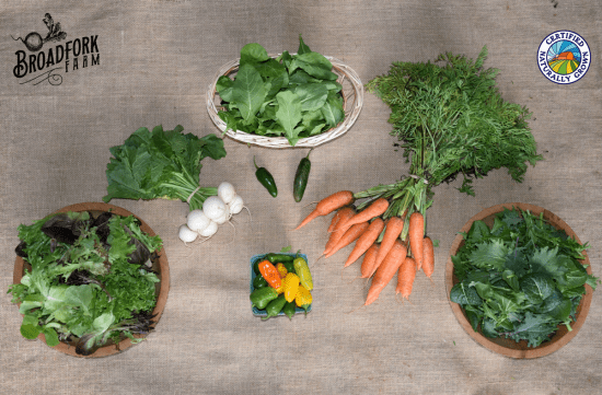 2016-11-30-farm-share-week-29