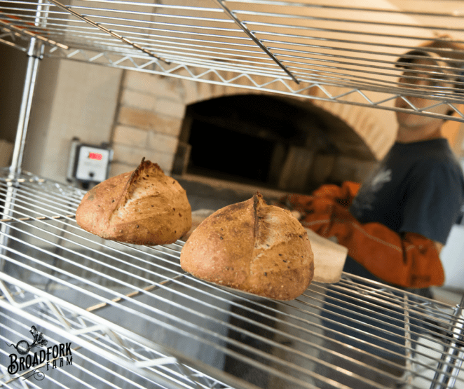 web-kyle-round-loaves