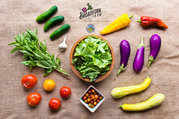Vegetables – Broadfork Farm