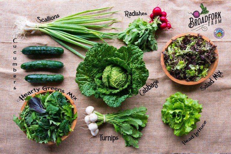 Broadfork Farm Certified Naturally Grown vegetables. Organic
