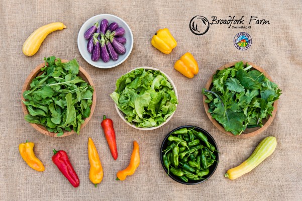 unknow week perhaps week 19.jpg