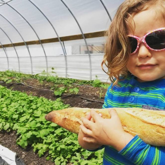 radishes and baguettes