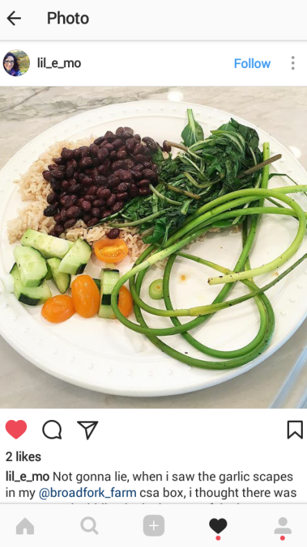garlic scape hearty mix dinner em ig (2).png